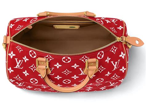 secchiello louis vuitton speedy 40